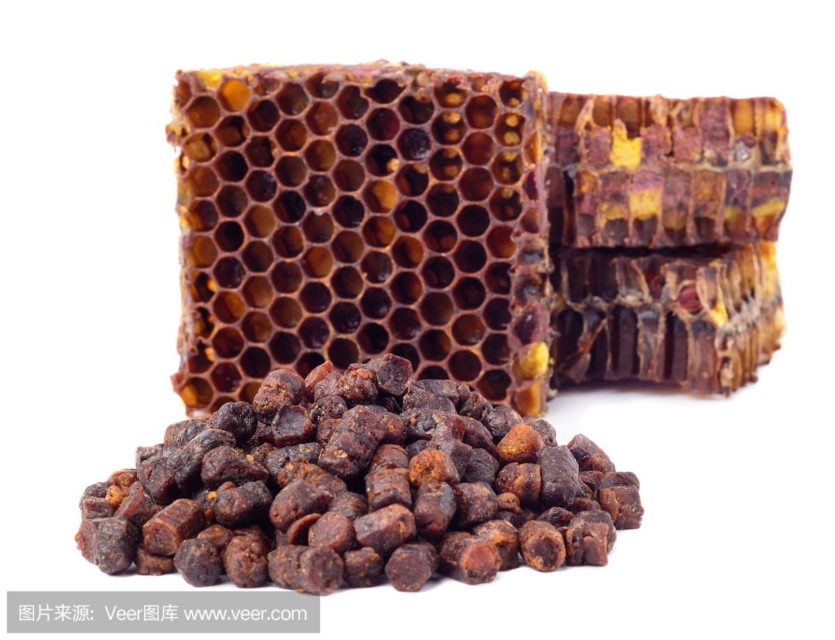 在白色的背景上分离出蜜蜂面包颗粒和一片蜂蜜细胞。增强免疫力的天然药物。养蜂的产品。蜂疗。
