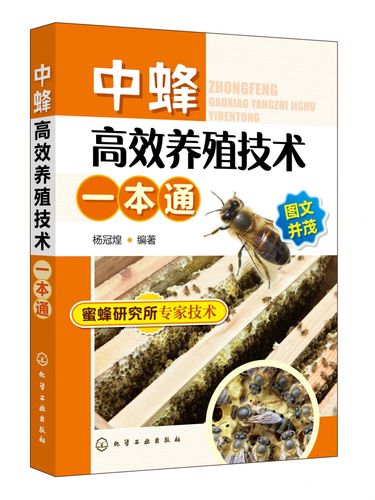 新技术 中蜂养殖技术 养蜂技术养蜂书养蜂蜜蜂 蜜蜂养殖技术大全书